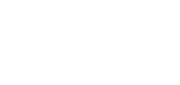 nyc & company